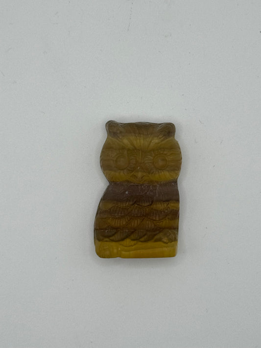 Fluorite Owl